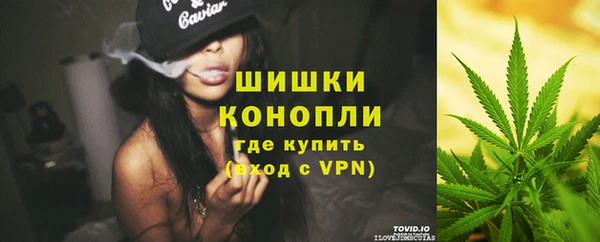 сатива Вязьма