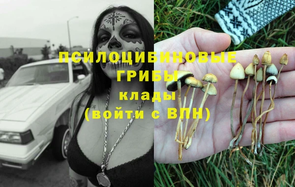 шишки Волоколамск