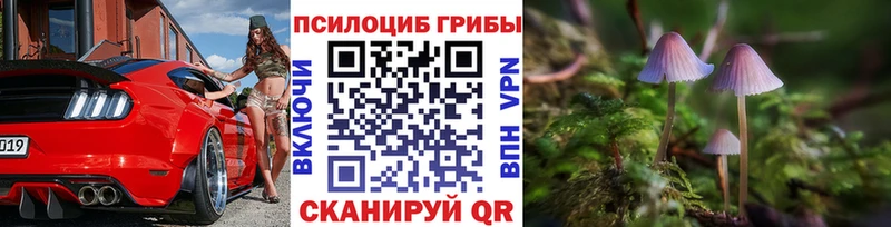 Купить где  Ленинск  Псилоцибиновые грибы ЛСД 